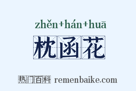 枕函花是什么意思的图片